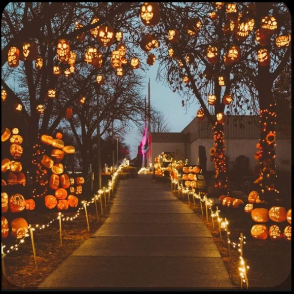 Follow Gain train Share & Collect 💙 Tag your PFF’s! - Picture 9 of 10